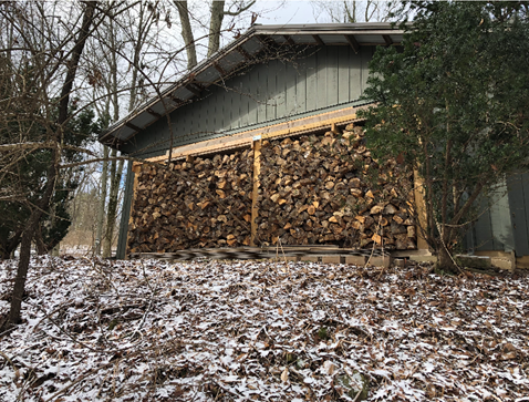 Scott's woodpile with stacked logs