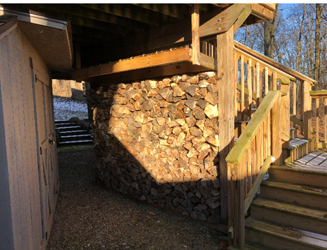 first woodpile with stacked logs