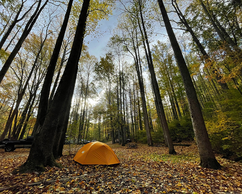 camping tent in the woods