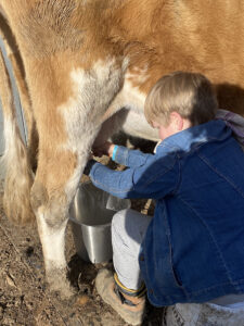 Goat Milk vs. Cow Milk: How to Choose - Lehman's Simpler Living Blog