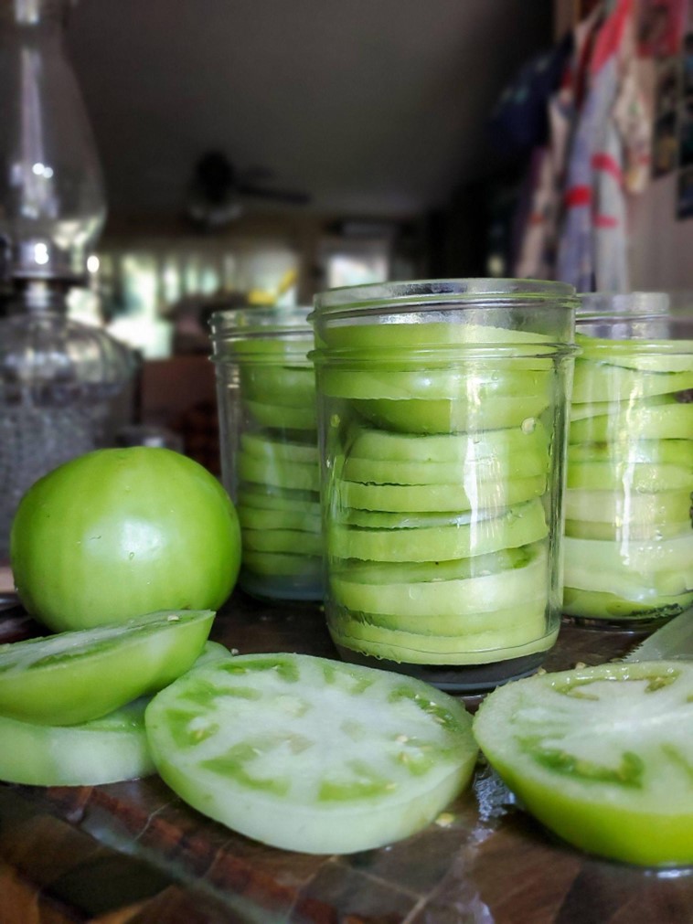 preserving green tomatoes in jars