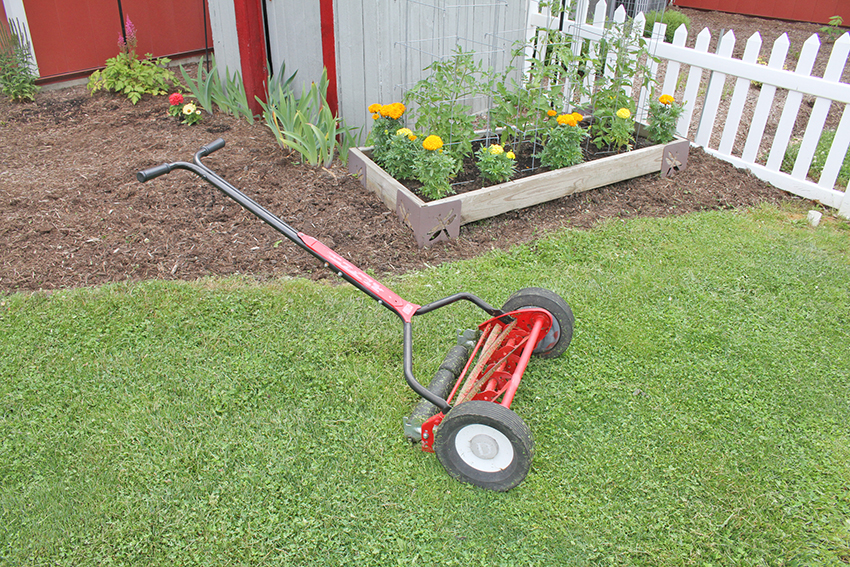 Reel mower in garden area