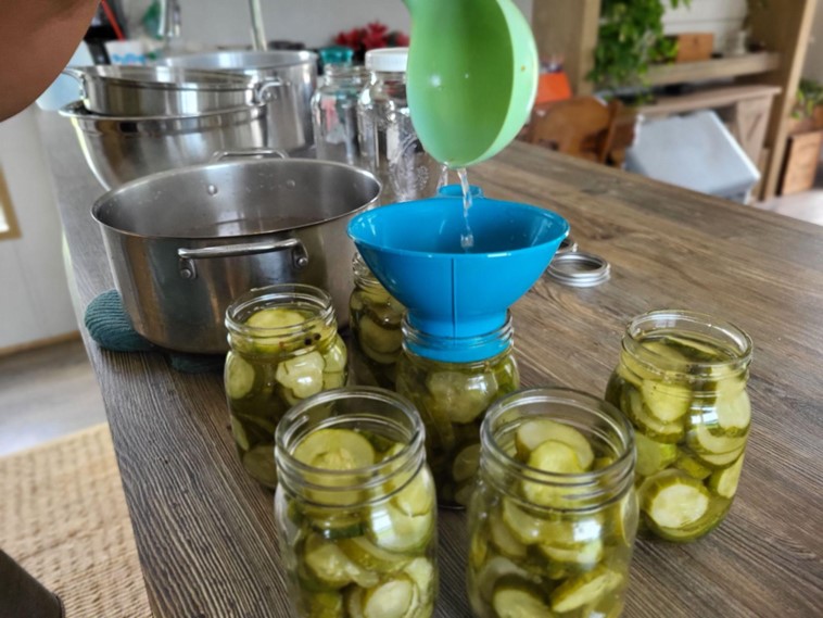 preserving harvest by making pickles