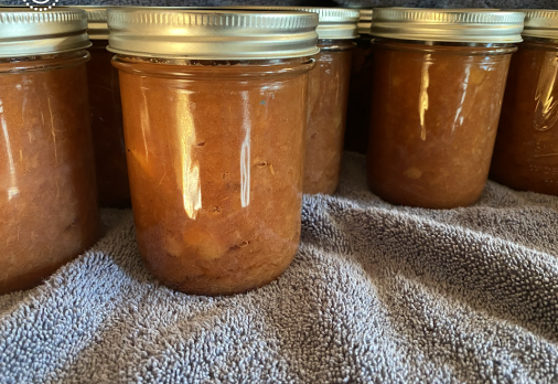 Canned applesauce from freshly picked apples