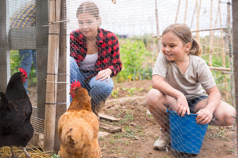 Girls Feeding Chickens on Homestead