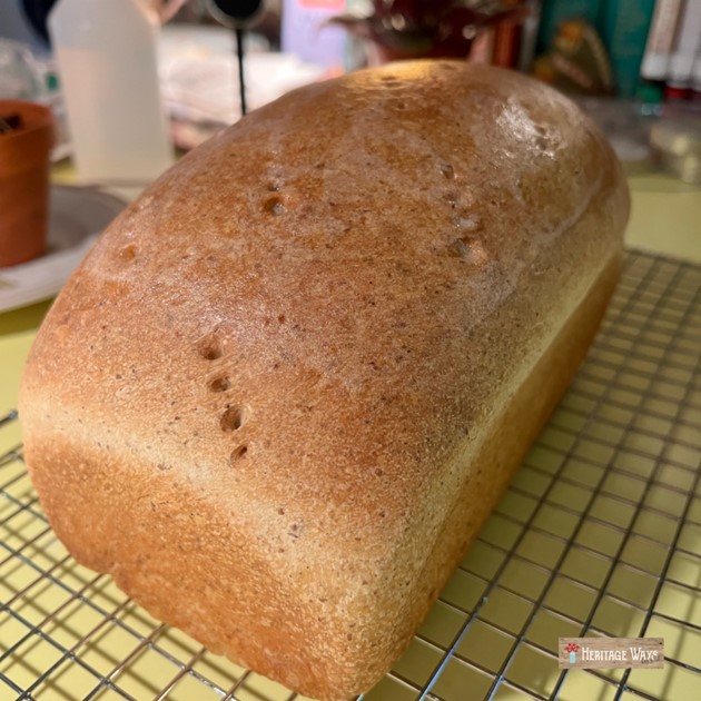 Loaf of homemade bread