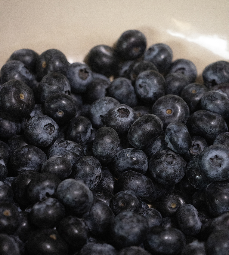Freshly washed blueberries for preserves