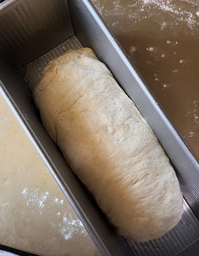 Dough in bread pan