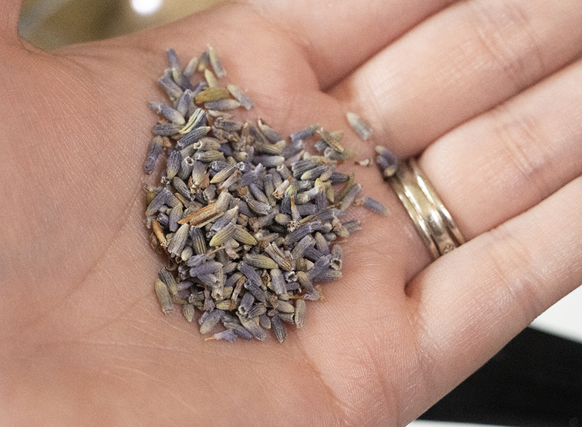 Dried lavender buds