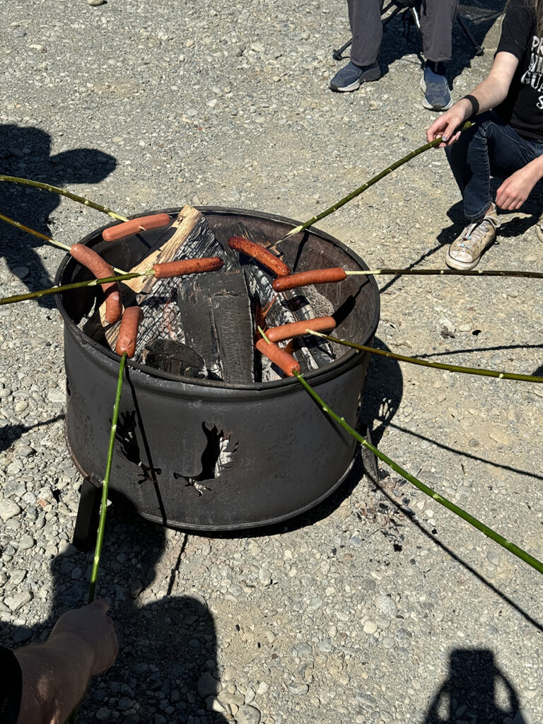 Roasting hot dogs on sticks over firepit