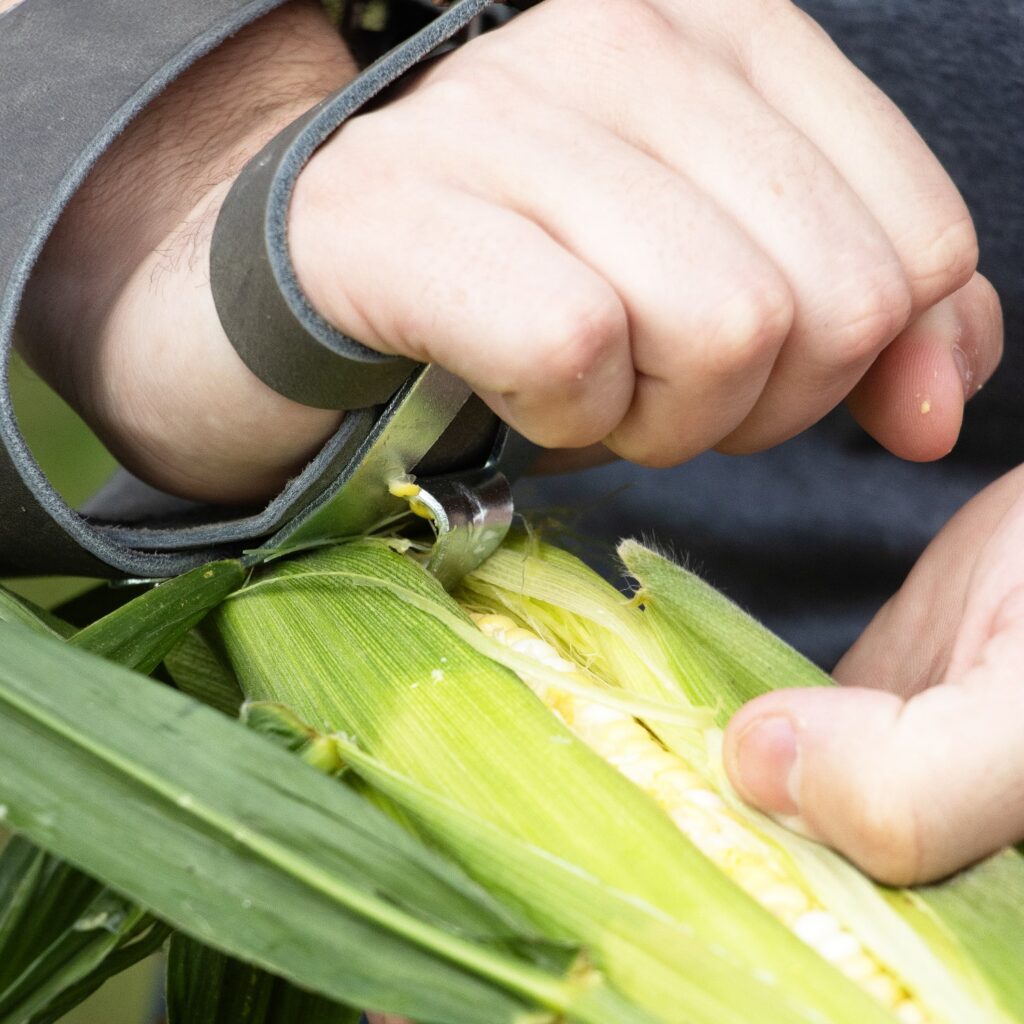 Hand husking corn with single hook husker