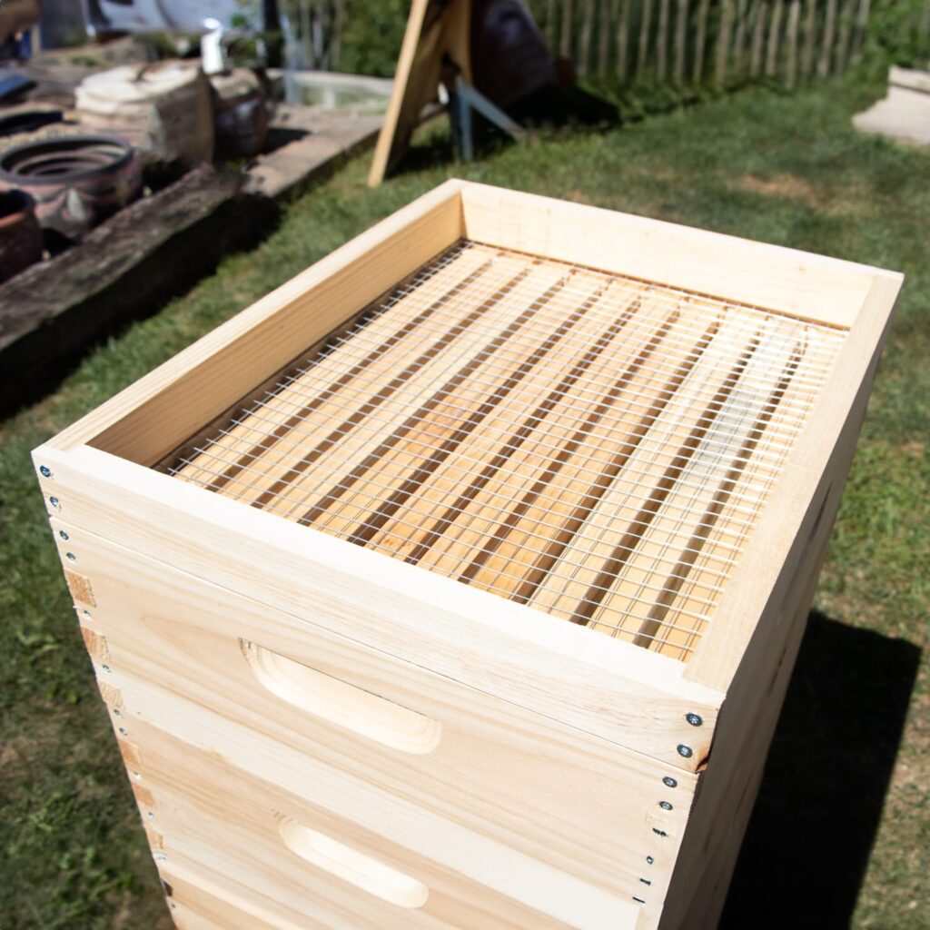 Candy Board for feeding honey bees in winter in hive