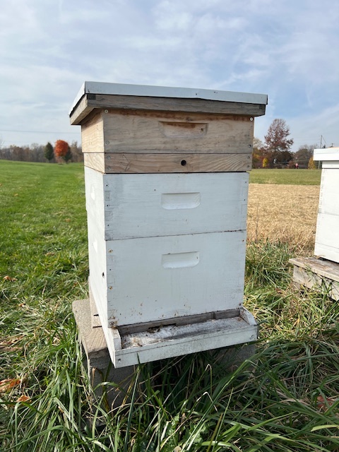 Winterized beehive for the colder months